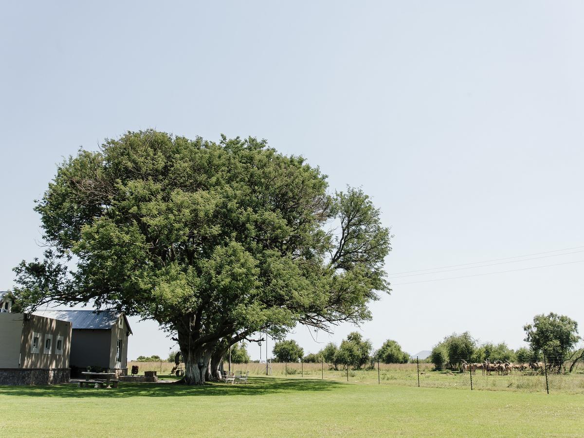 Buffalo Thorn Tree Lodge Swartruggens Dış mekan fotoğraf