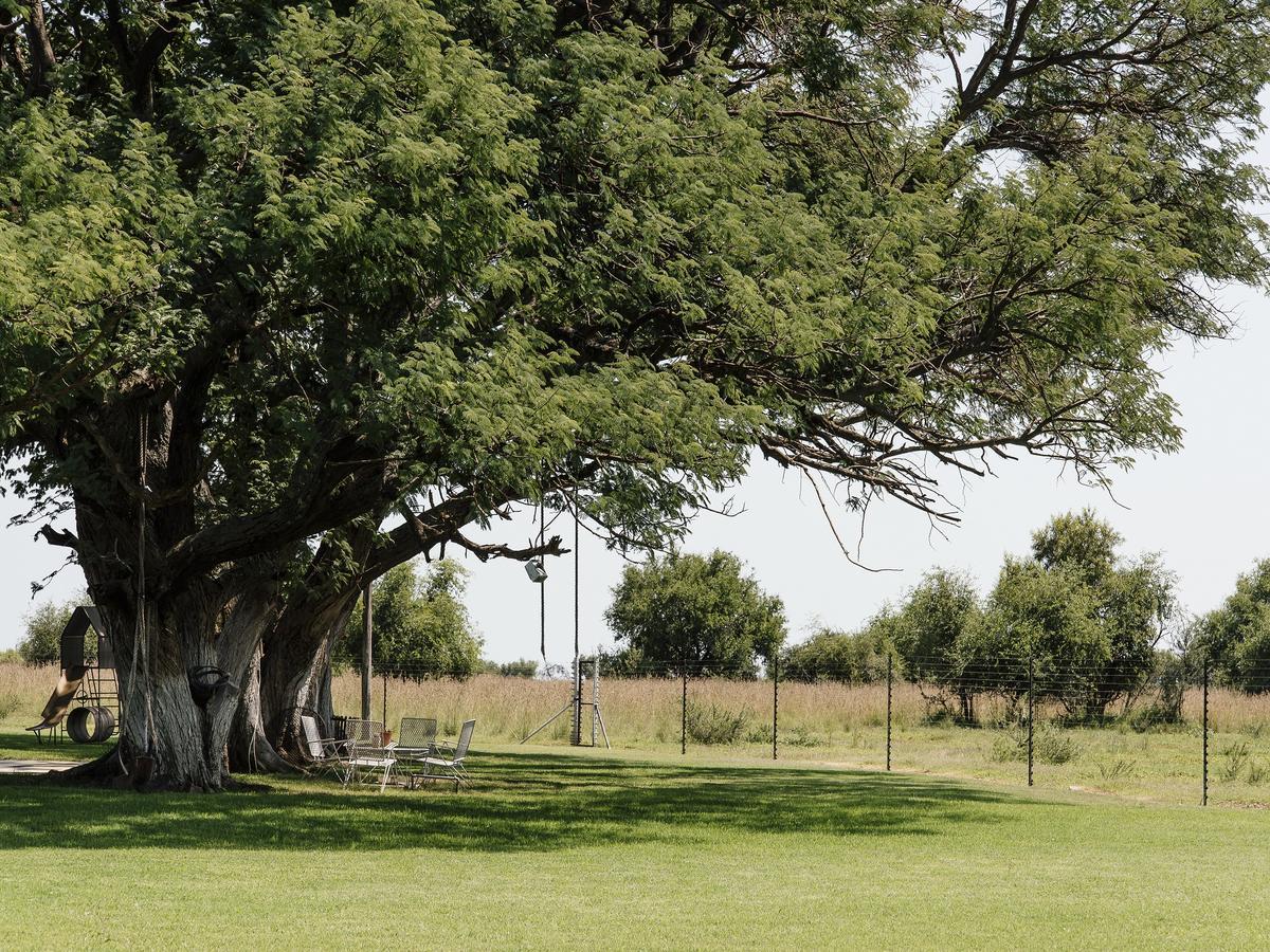 Buffalo Thorn Tree Lodge Swartruggens Dış mekan fotoğraf